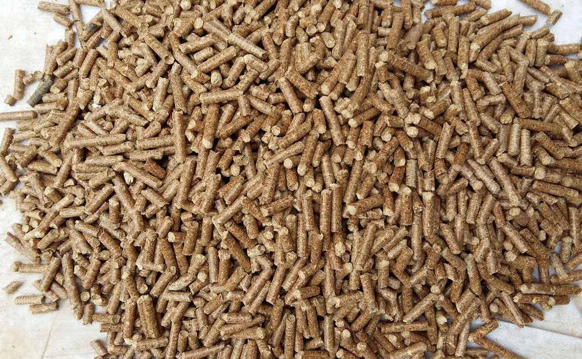 What Raw Materials Can Make Biomass Pellets?