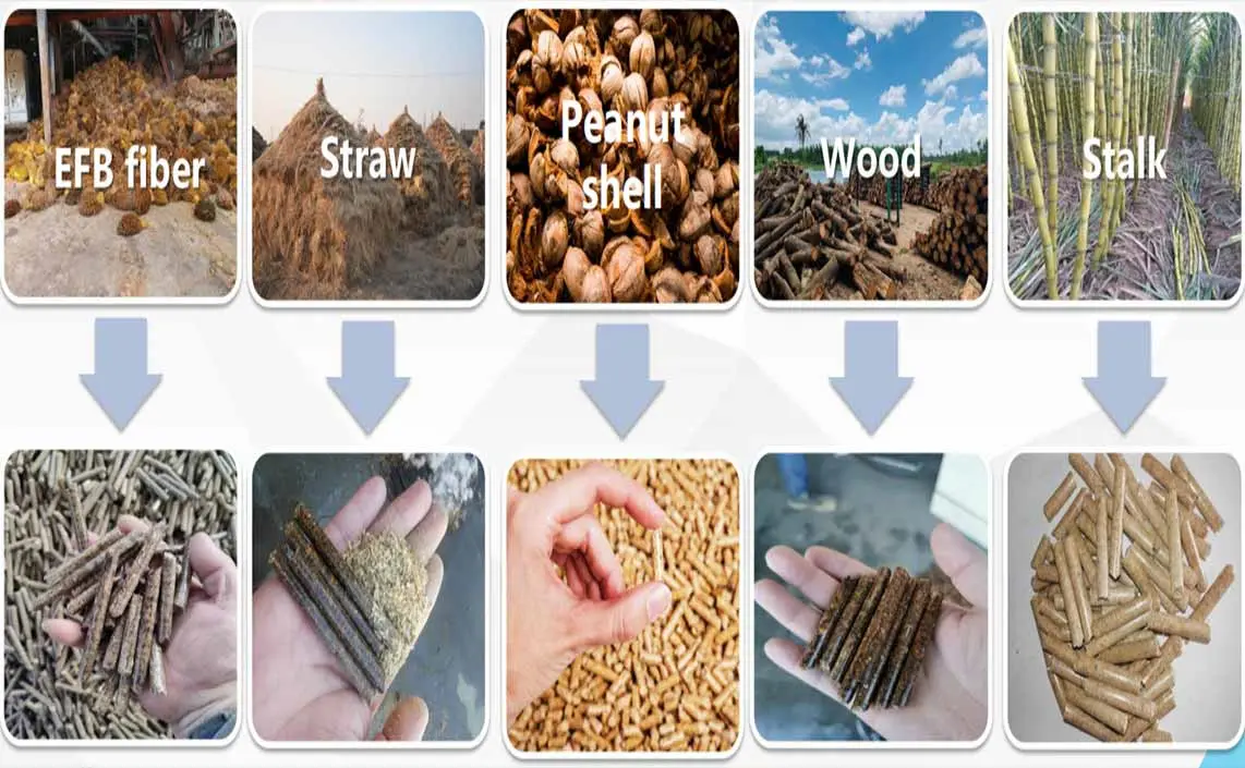 What Materials Can Be Used To Make Wood Pellets By Wood Pellet Machine?