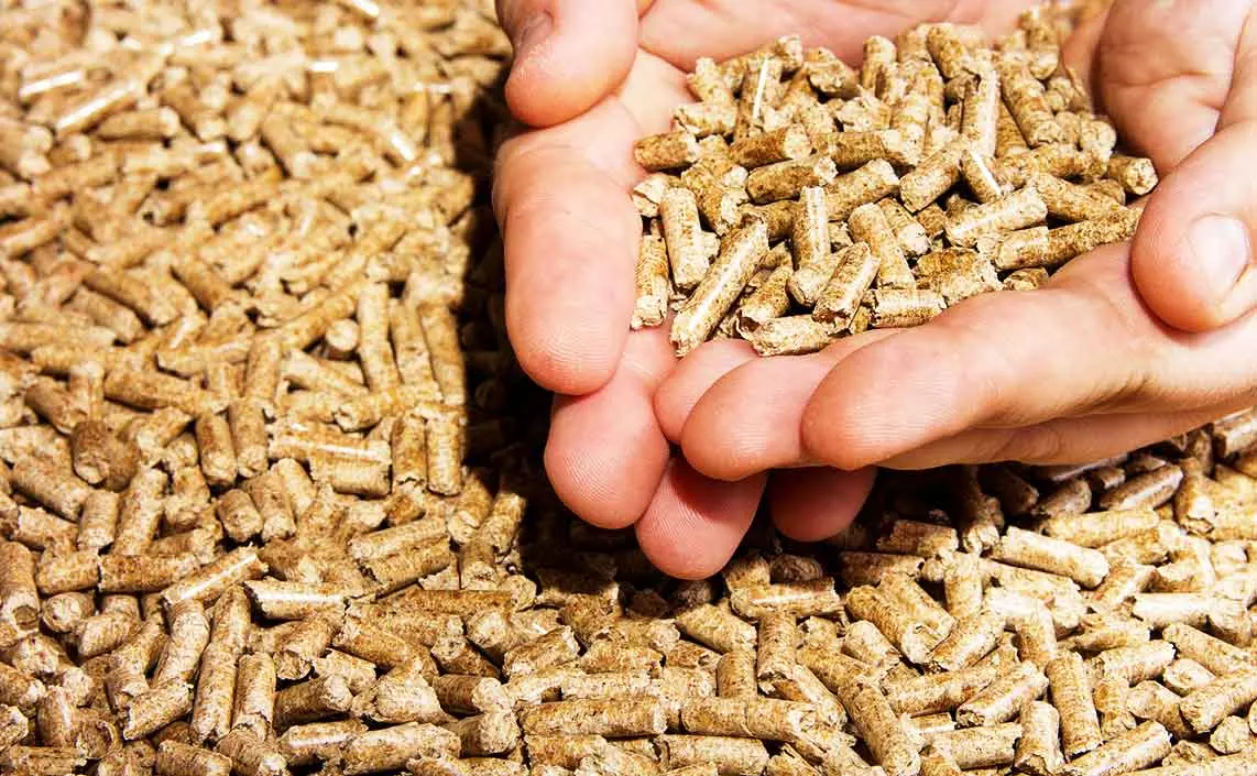 Characteristics Of Coconut Shell Pellet Machine