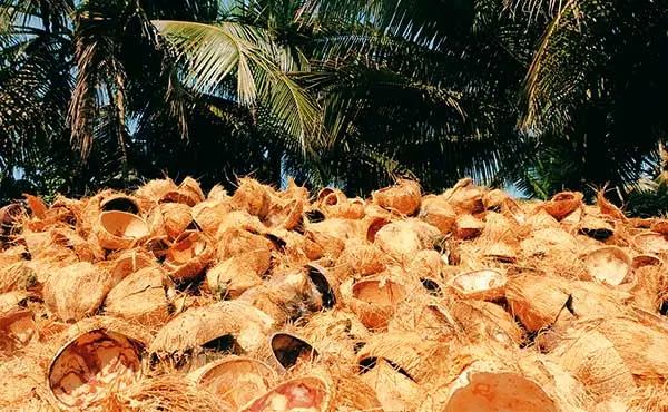 Characteristics Of Coconut Shell Pellet Machine﻿