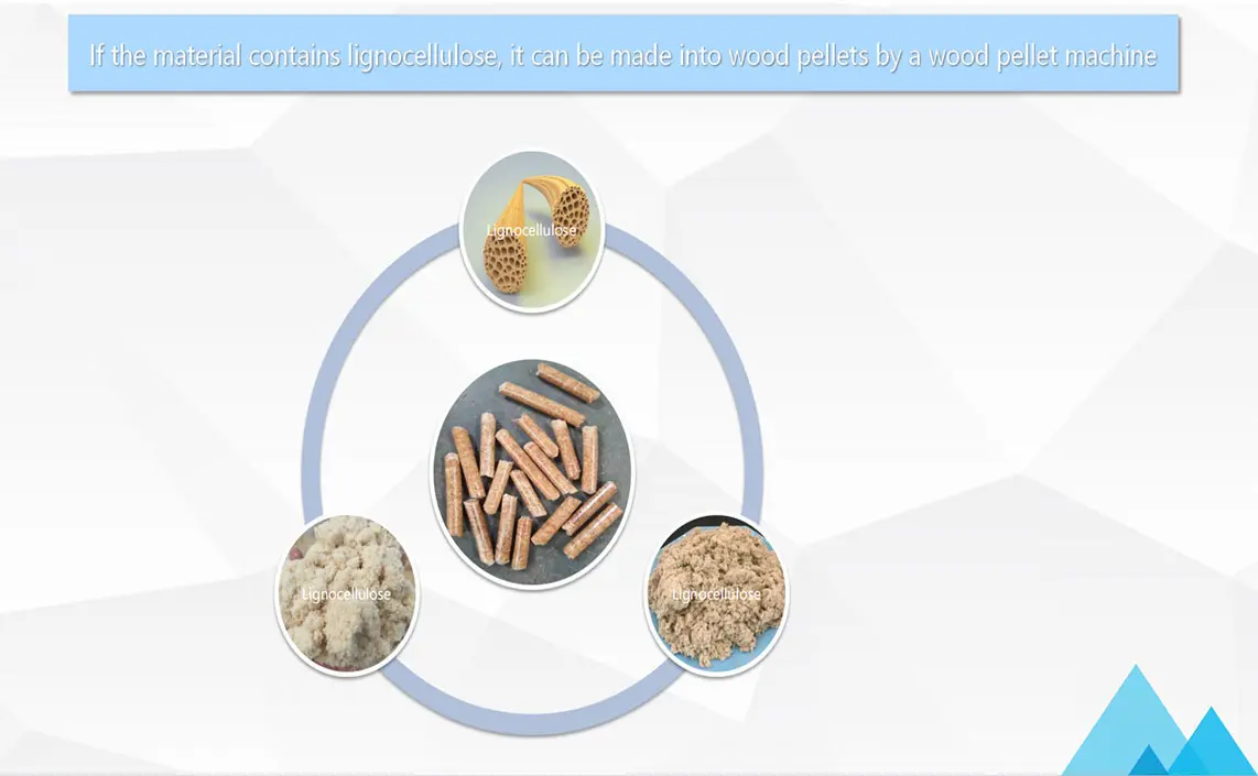 Working Process Of Biomass Pellet Machine